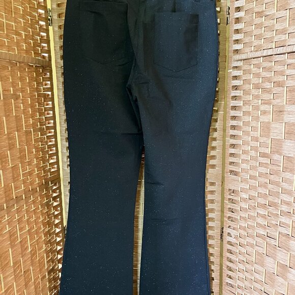 Anatomie Winny Sparkle Pant NWT - Picture 2 of 2